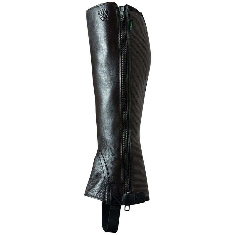 Half Chaps Uomo Ariat Breeze Chap Half Chap Cioccolato | QG7LTCI