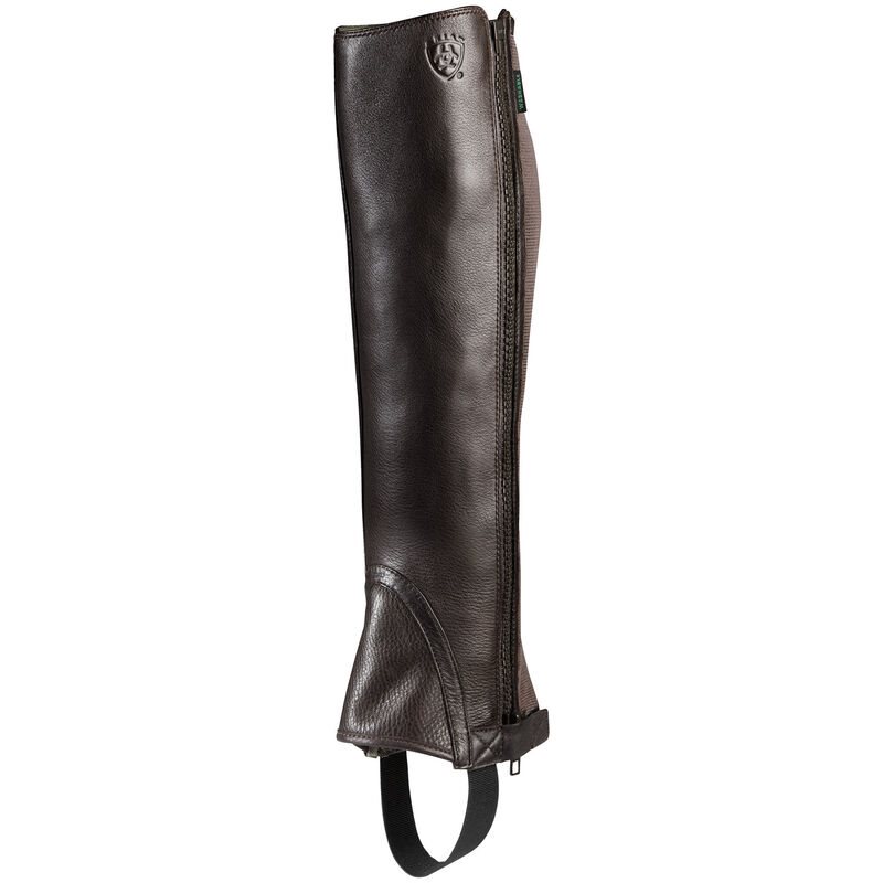 Half Chaps Uomo Ariat Breeze Chap Half Chap Cioccolato | QG7LTCI