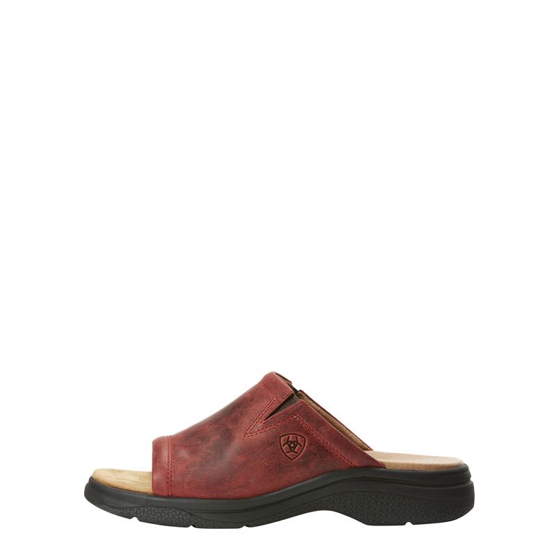 Sandali Donna Ariat Bridgeport Rosse | HIZCSEW