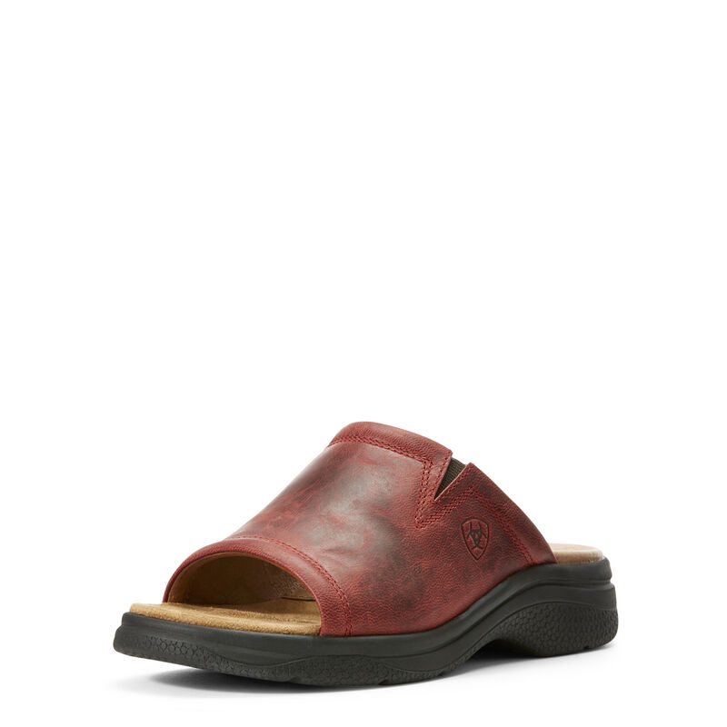 Sandali Donna Ariat Bridgeport Rosse | HIZCSEW