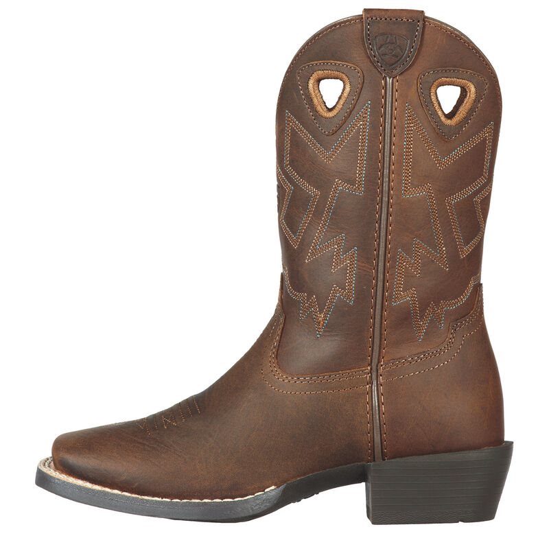 Stivali Cowboy Bambino Ariat Charger Marroni | YZLTZ08