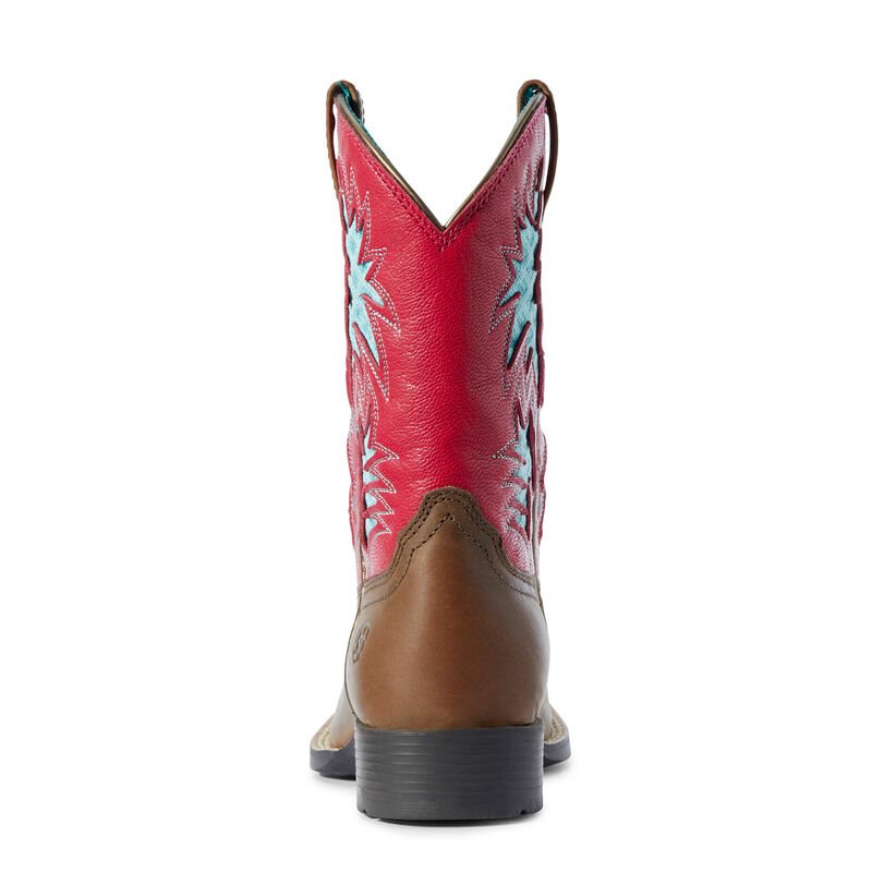 Stivali Cowboy Bambino Ariat Cowboy VentTEK Marroni Rosa | I1BU50F