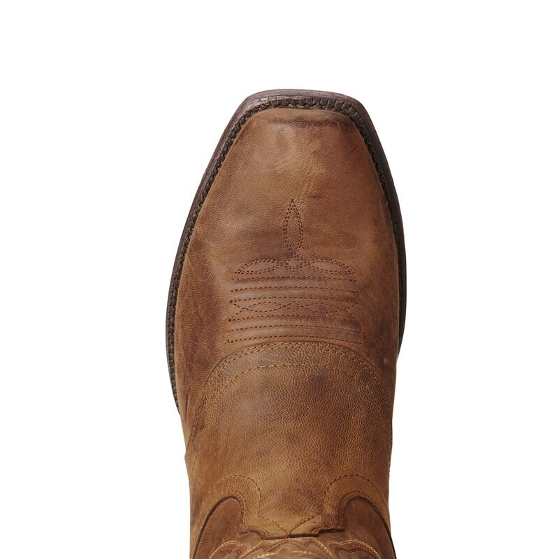 Stivali Cowboy Uomo Ariat Circuit Striker Marroni | TD8FO7B