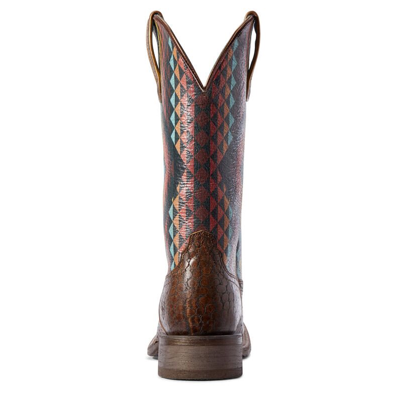 Stivali Da Cowgirl Donna Ariat Circuit Savanna Cioccolato Colorate | 8WY9JST