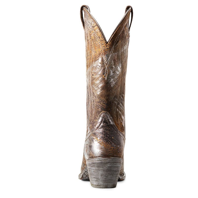 Stivali Da Cowgirl Donna Ariat Circuit Salem Marroni Argento | GYEM4MF