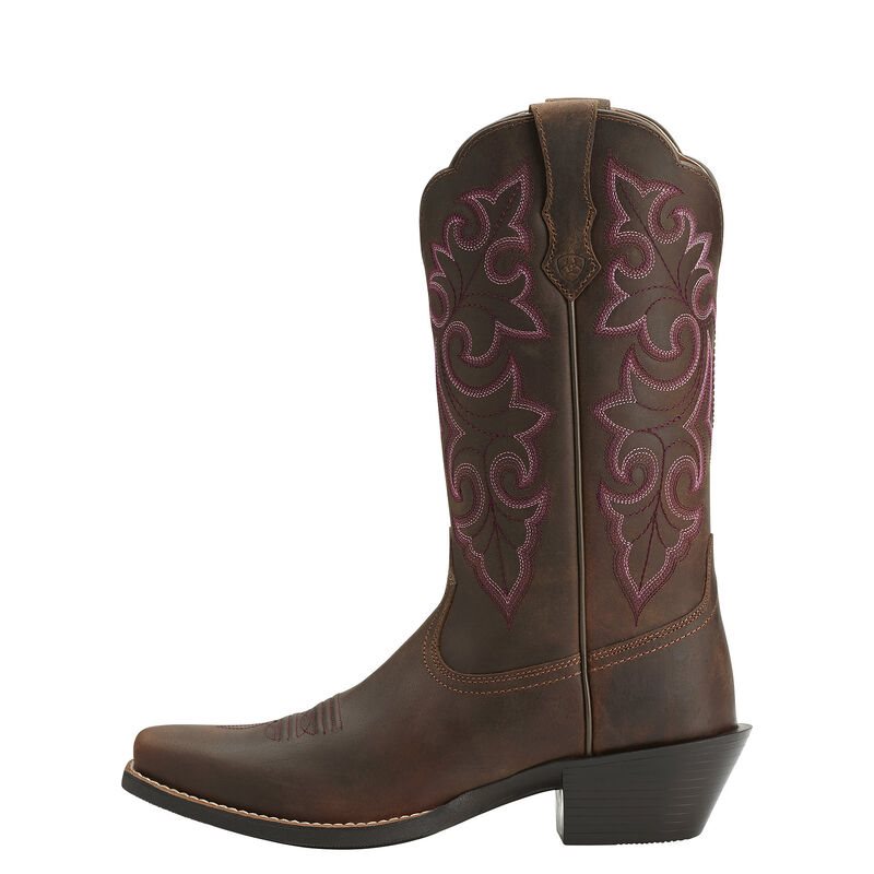 Stivali Da Cowgirl Donna Ariat Round Up Square Punta Marroni | 83GAB0W