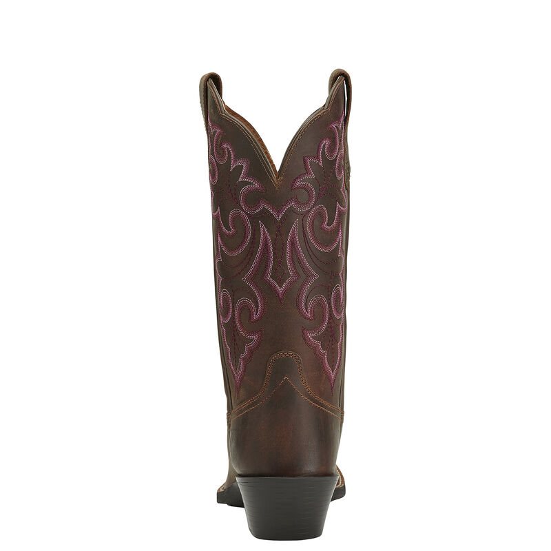 Stivali Da Cowgirl Donna Ariat Round Up Square Punta Marroni | 83GAB0W