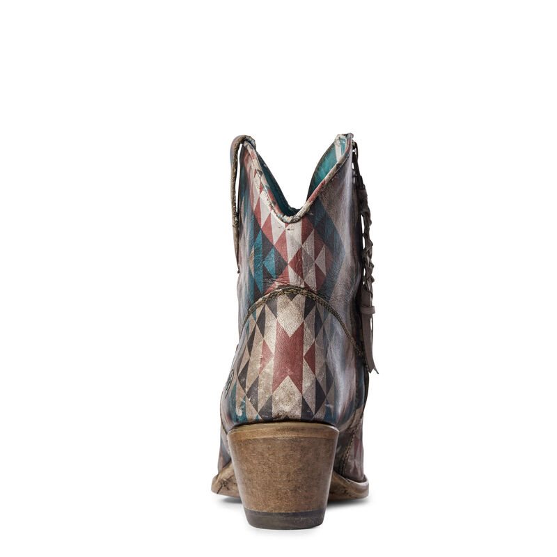 Stivali Western Donna Ariat Circuit Cruz Colorate | QTC7R9O