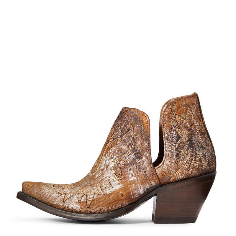 Stivali Western Donna Ariat Dixon Marroni Argento | IA2NSOM