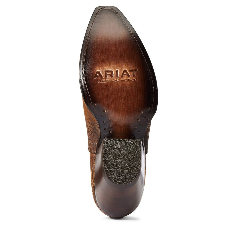 Stivali Western Donna Ariat Dixon Marroni Argento | IA2NSOM