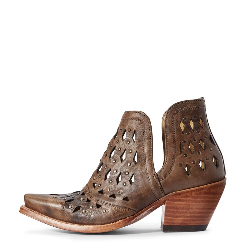 Stivali Western Donna Ariat Dixon Studded Caffè | GWGW74L