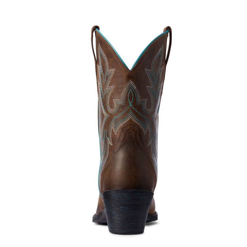 Stivali Western Donna Ariat Round Up Bella Marroni | A4DJ5CU