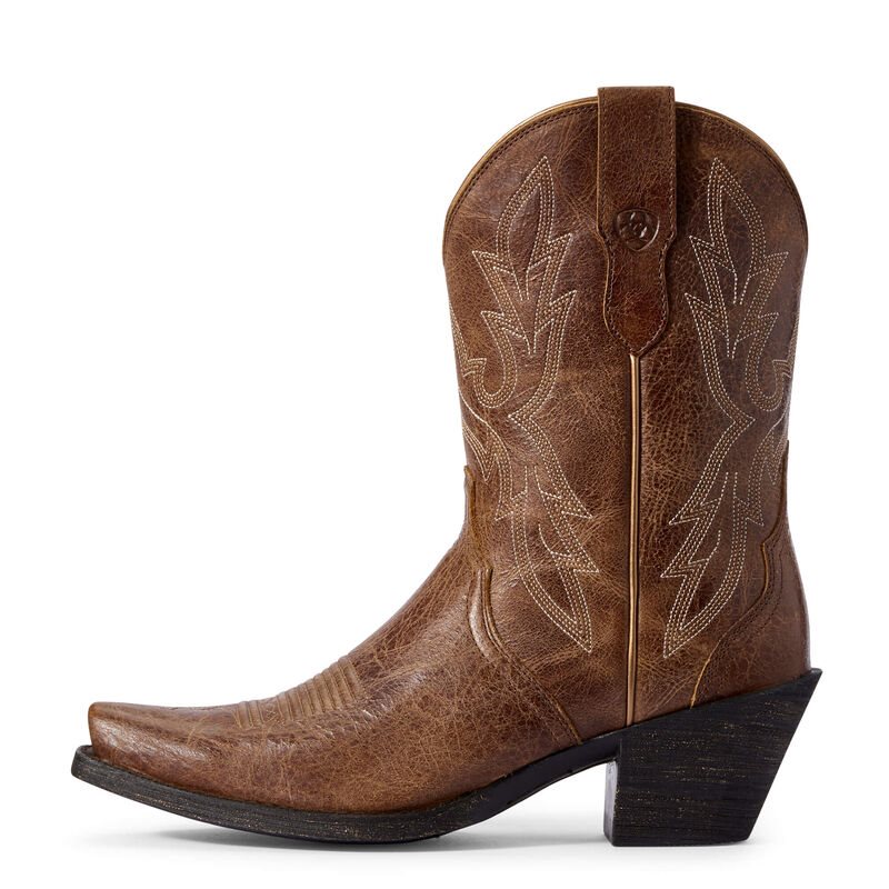 Stivali Western Donna Ariat Round Up Bella Marroni Scuro | V21L0VT