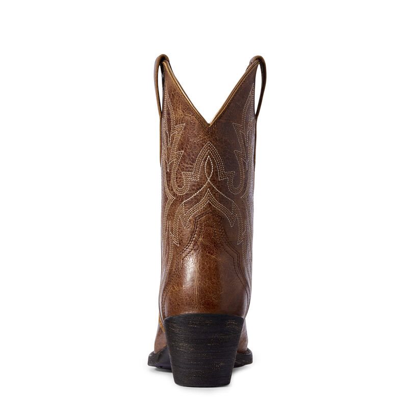 Stivali Western Donna Ariat Round Up Bella Marroni Scuro | V21L0VT