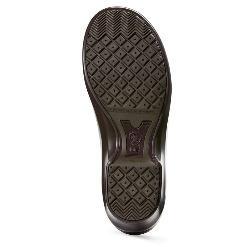 Zoccoli Donna Ariat Hera Expert Clogs Cioccolato | IGXZKT3