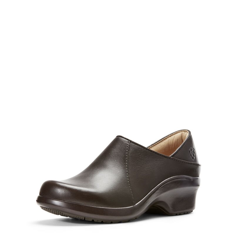 Zoccoli Donna Ariat Hera Expert Clogs Cioccolato | IGXZKT3