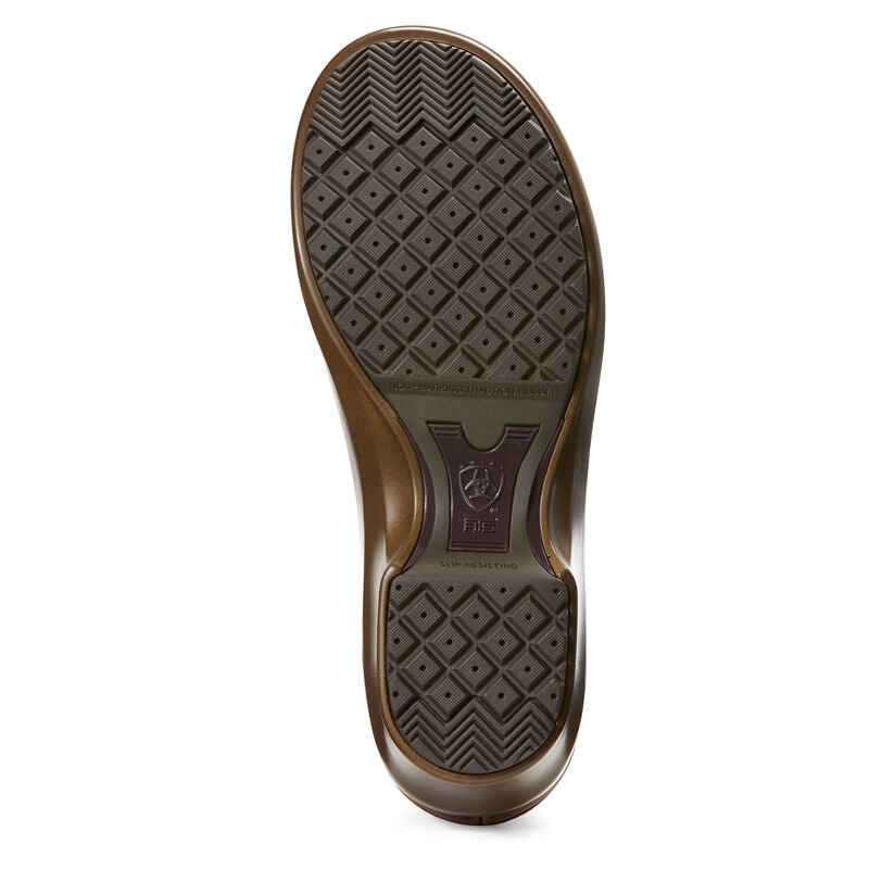 Zoccoli Donna Ariat Hera Expert Clogs Marroni | 769W1XE