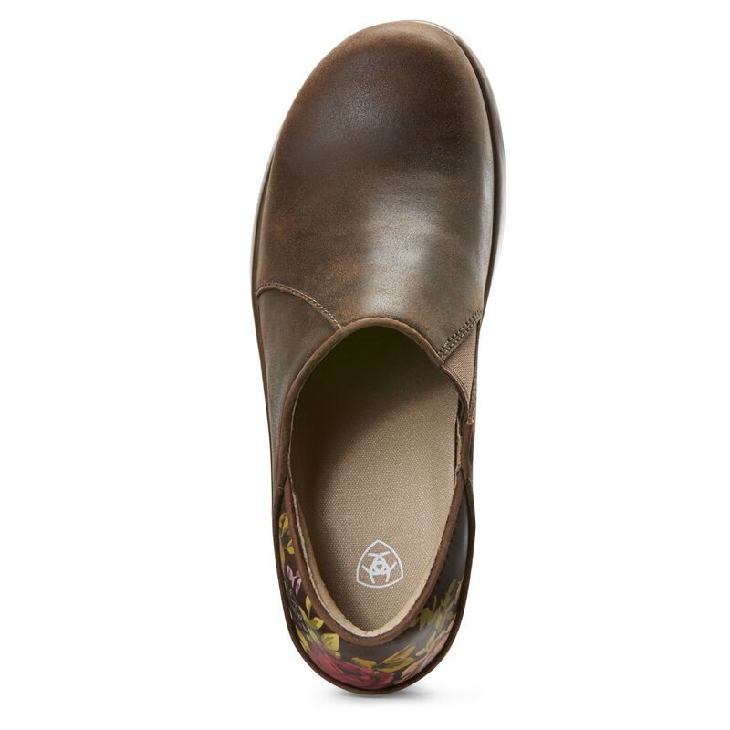 Zoccoli Donna Ariat Hera Expert Clogs Marroni | 769W1XE