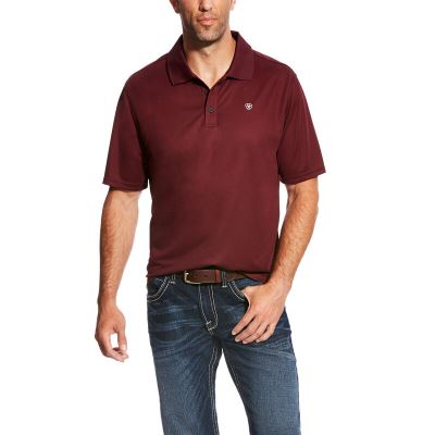 Magliette Polo Uomo Ariat TEK Bordeaux | QVQTV5D