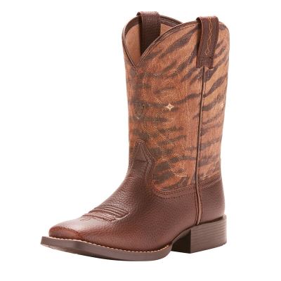 Stivali Cowboy Bambino Ariat Quickdraw Caffè | C50ZOJV