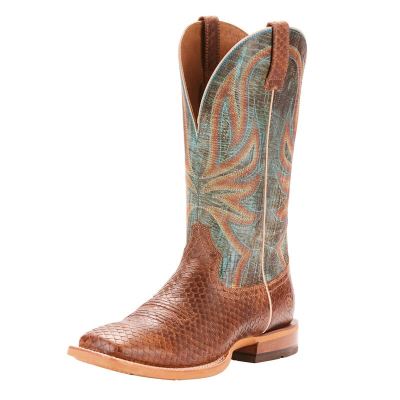 Stivali Cowboy Uomo Ariat Range Boss Marroni Verdi | N6K6SW7