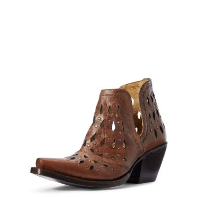 Stivali Western Donna Ariat Dixon Studded Marroni | 4N9I7B7